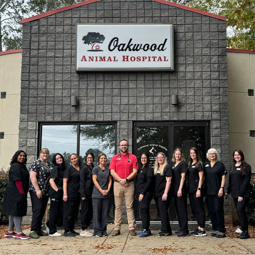 Oakwood Animal Hospital in Oakwood